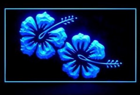 Hibiscus Flower Massage Shop LED Neon Sign